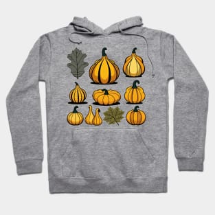 Pumpkin gourd collection fall vibes thanksgiving body positive Hoodie